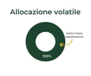 allocazione comportamentale volatile